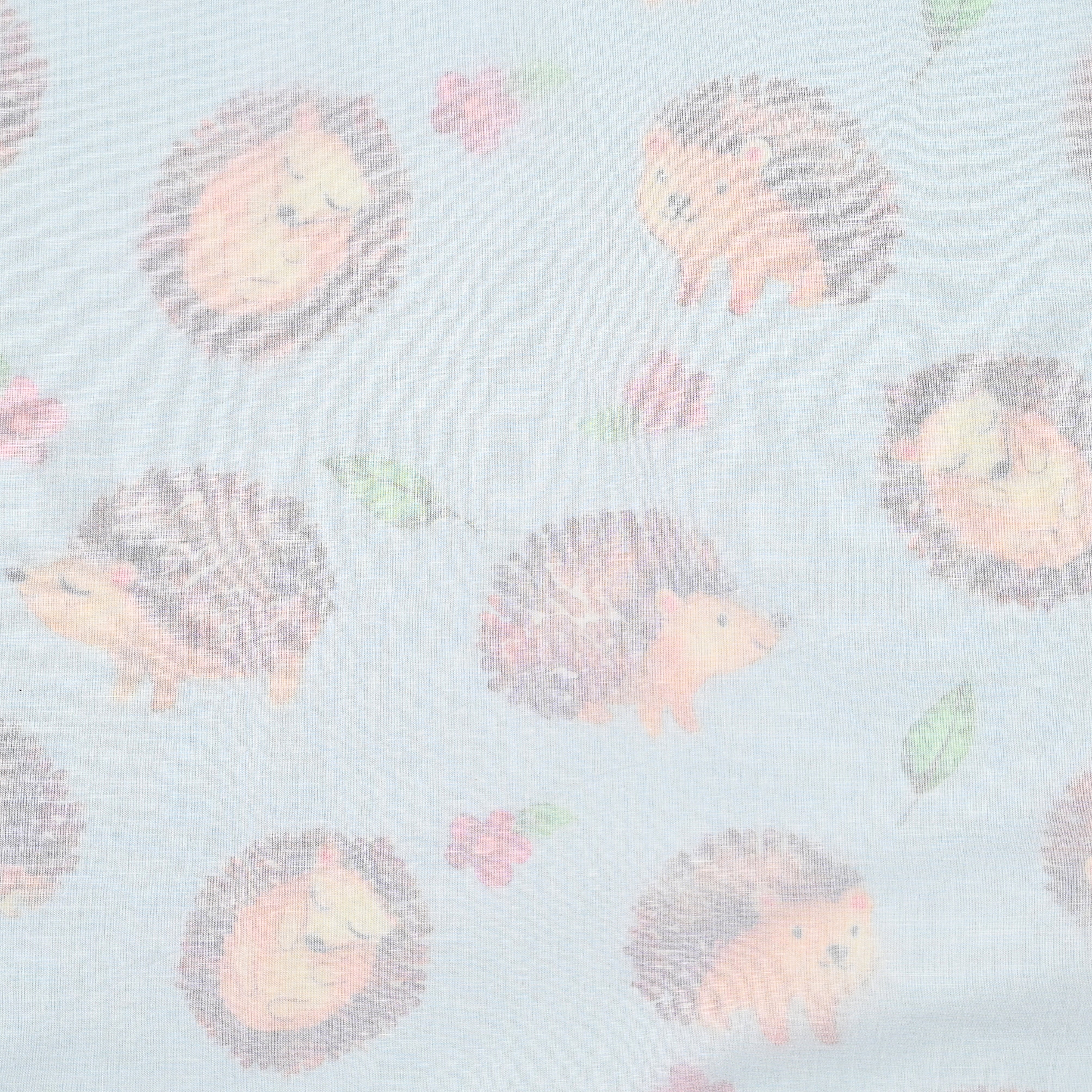 Hedge Hog Baby Dohar