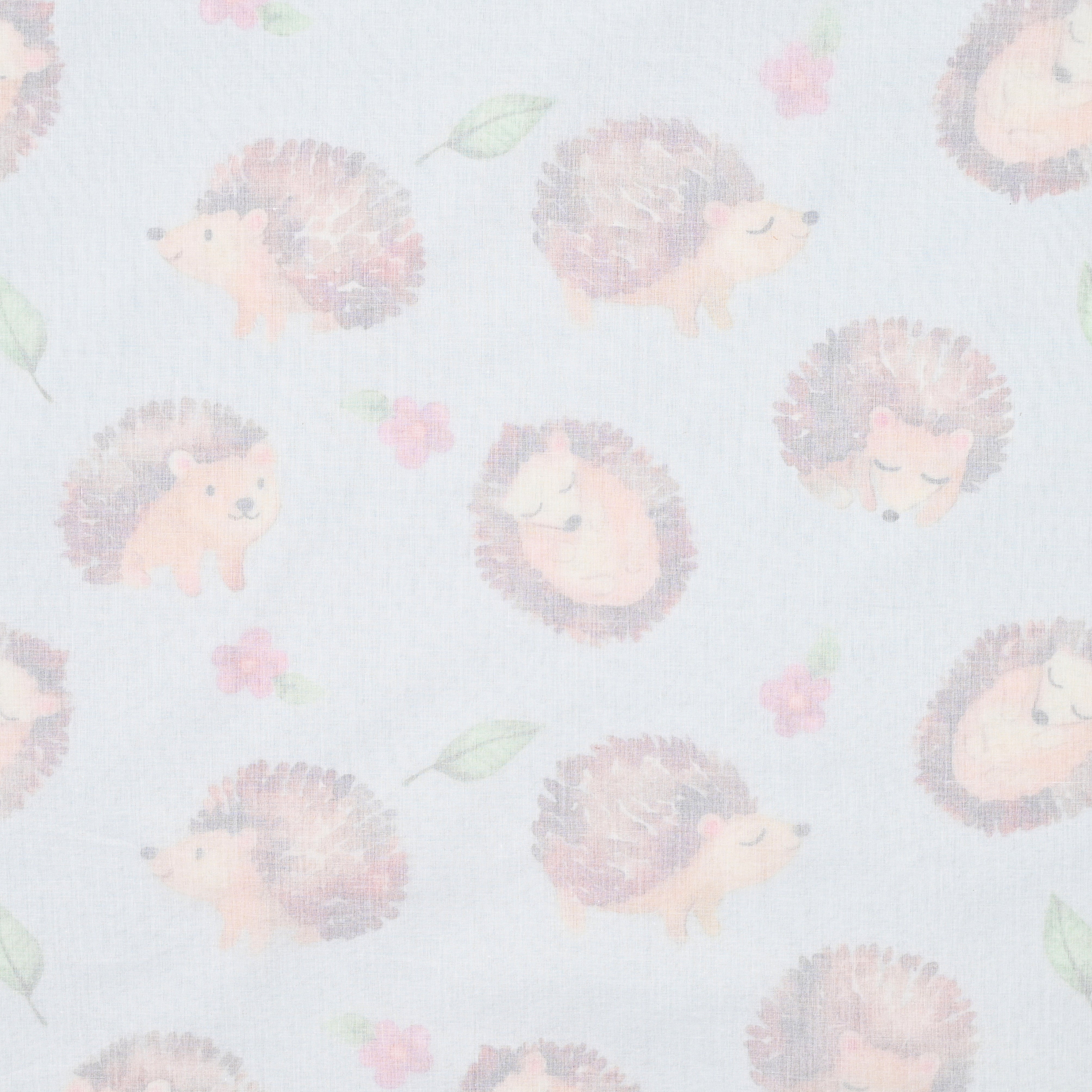 Hedge Hog Baby Dohar
