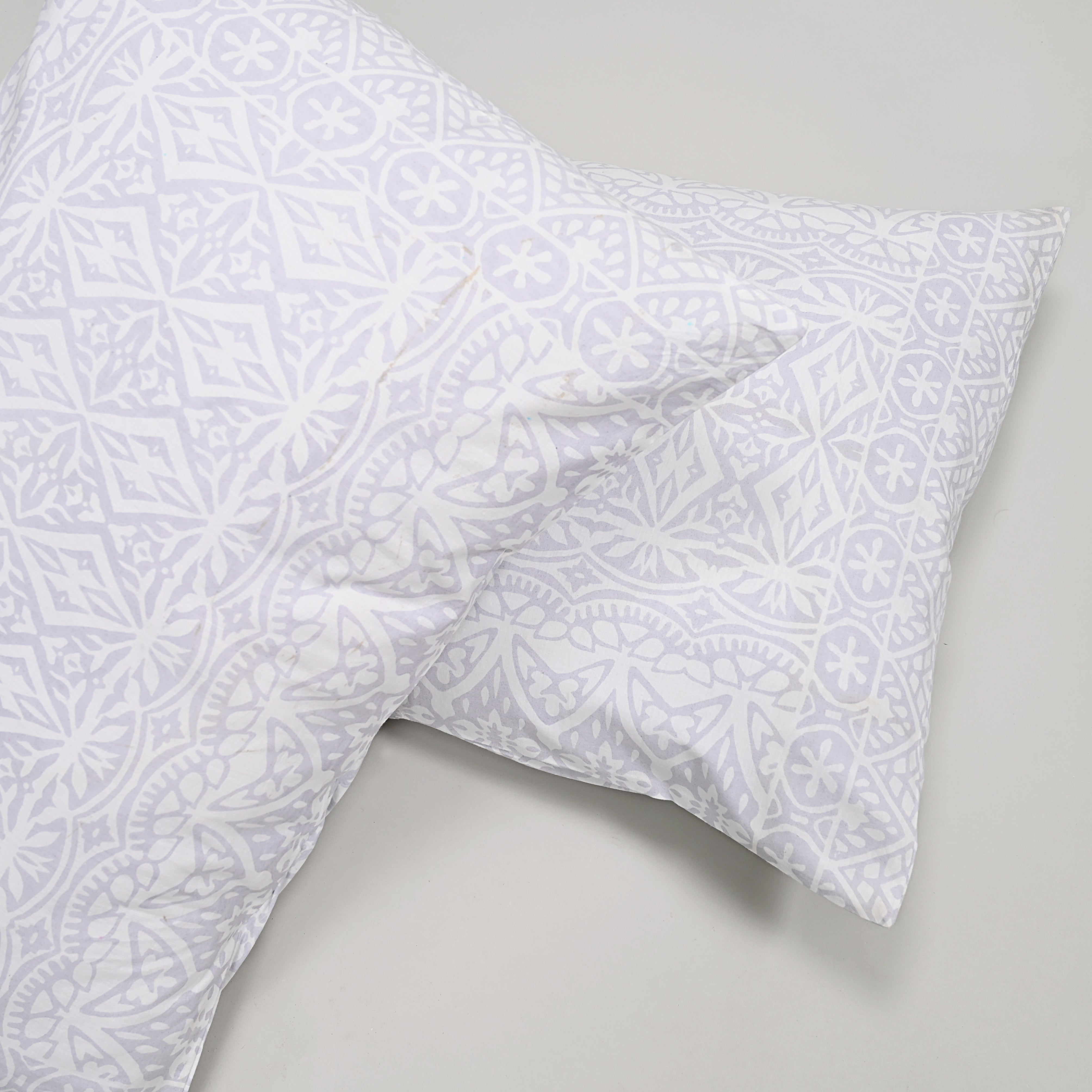 Flower Art Set of 2 Pillow