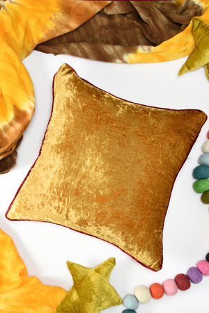 Amigo Velvet Series Cushion Cover