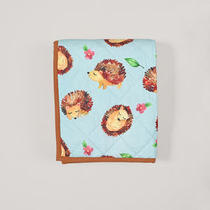 Hedghehog Baby Quilt