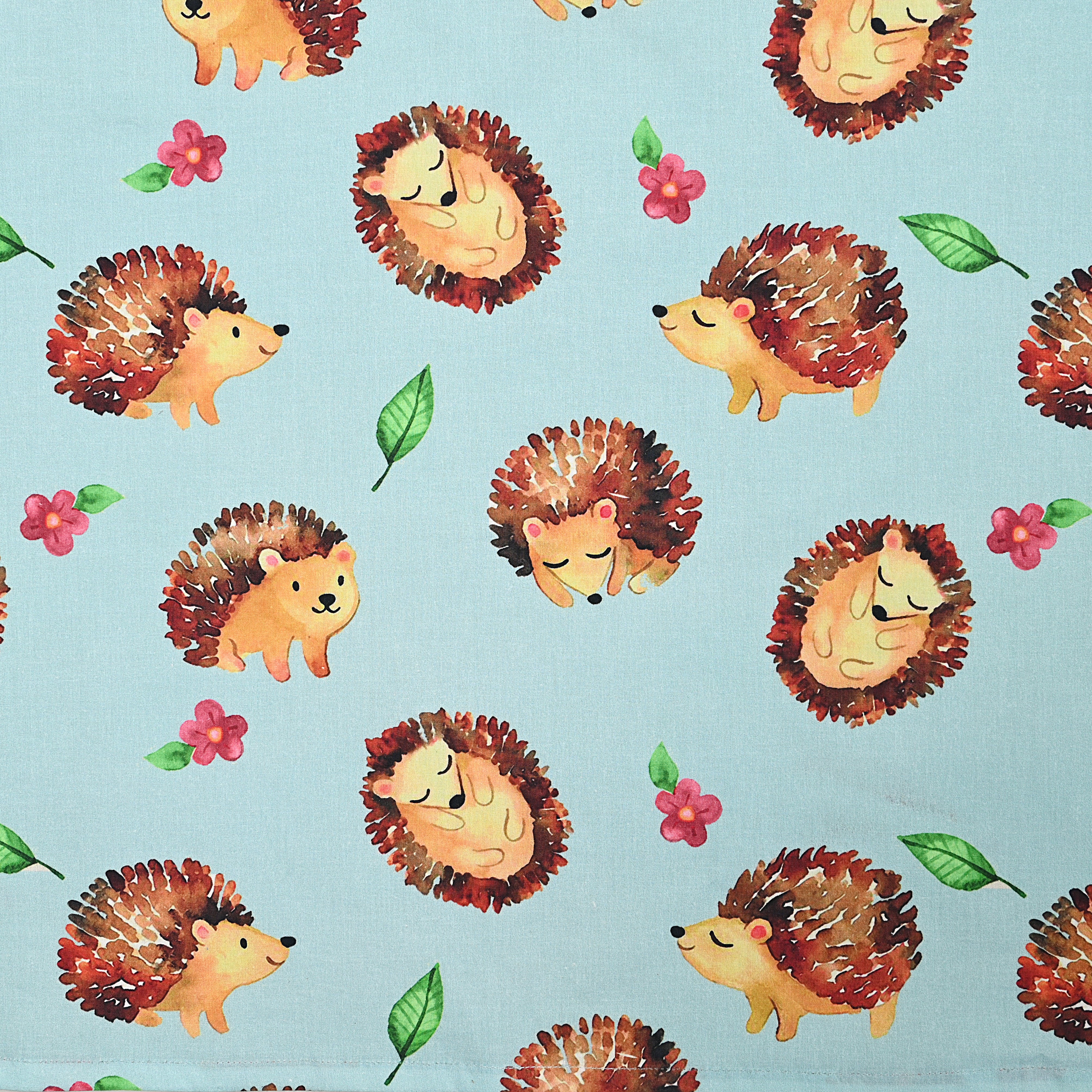 Hedgehog Sheet Set