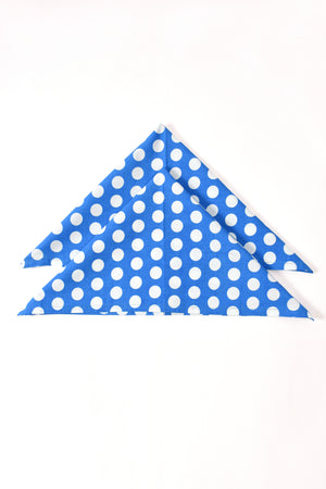 Polka Dott Napkin 6 Pc Set (Blue)