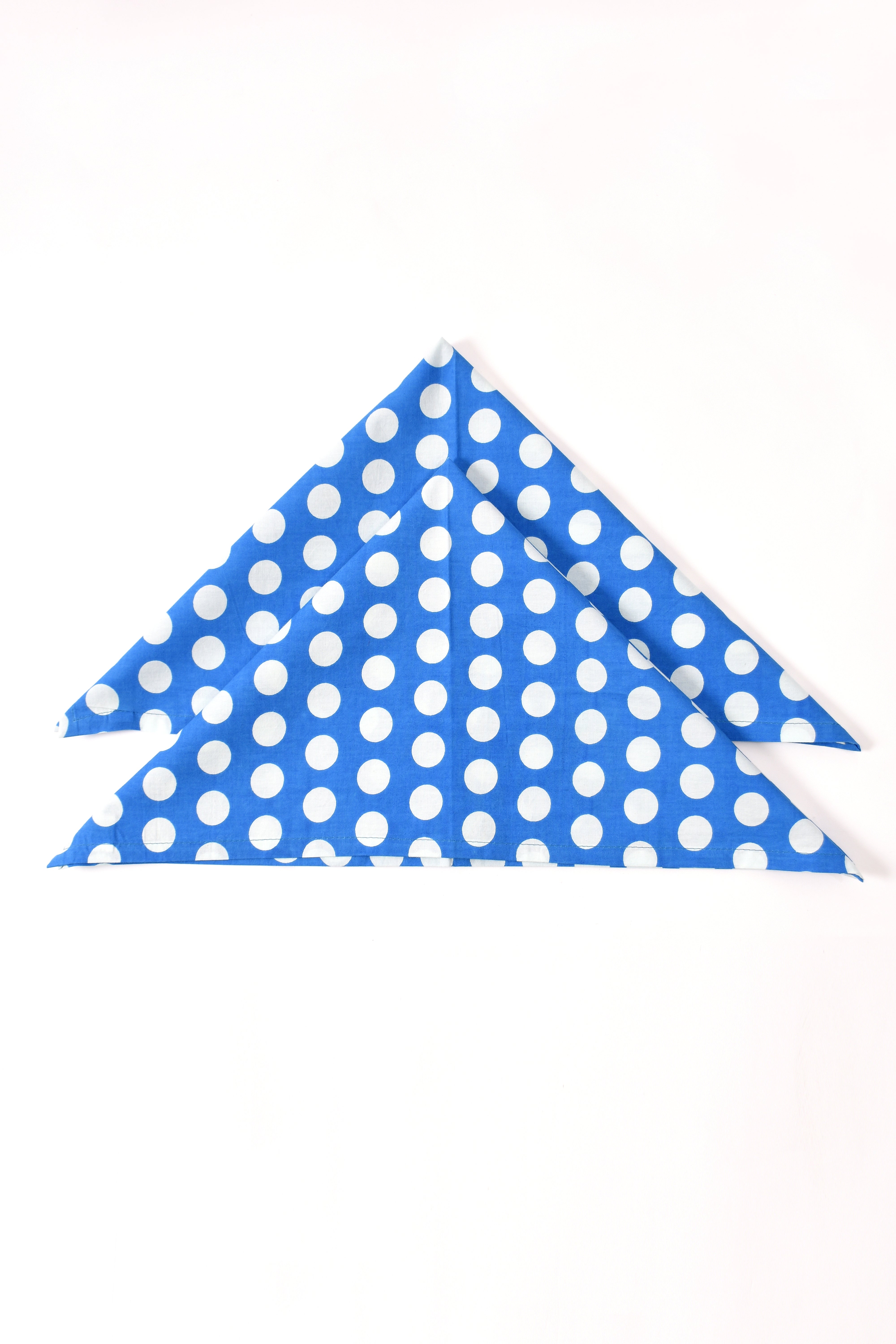 Polka Dott Napkin 6 Pc Set (Blue)