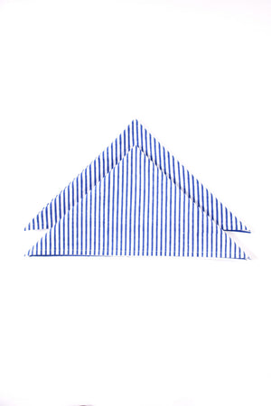 Stripe Napkin 6 Pc Set