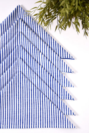 Stripe Napkin 6 Pc Set