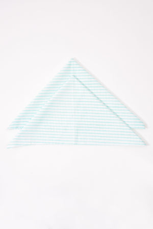 Stripe Napkin 6 Pc Set