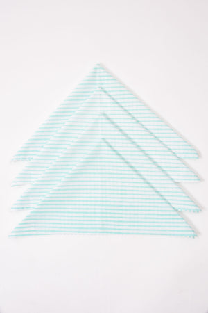 Stripe Napkin 6 Pc Set