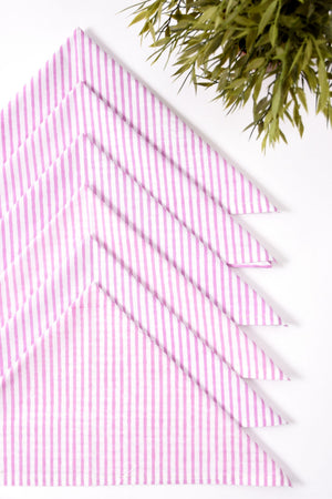Stripe Napkin 6 Pc Set